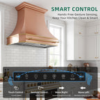 Nauxus 48" Built-In Range Hood Insert – 1200 CFM Stainless Steel Hood with Touch & Gesture Control, 3CCT LED & LED Night Lights